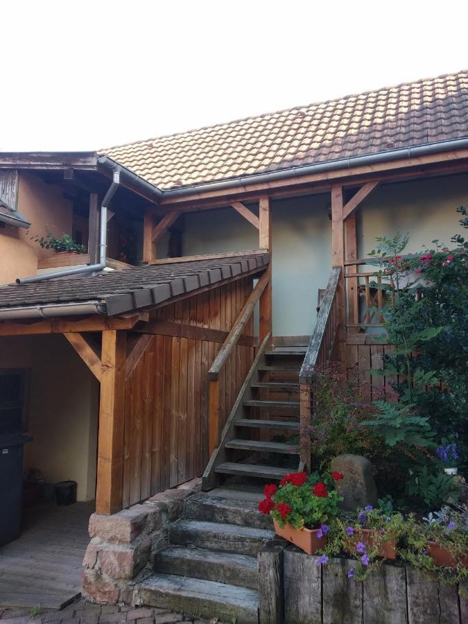 Chez Frederic Et Alexandre Daire Bennwihr Dış mekan fotoğraf